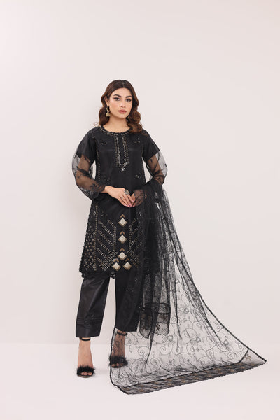 2170-A SMOKEY – Embroidered & Embellished Organza Ensemble