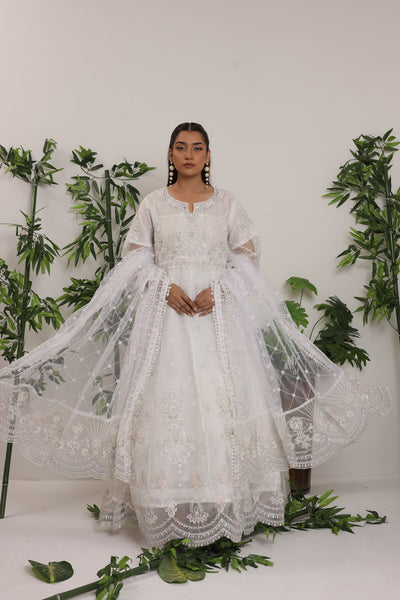 2172-B ELSA – Embroidered &amp; Embellished Organza RTW Maxi