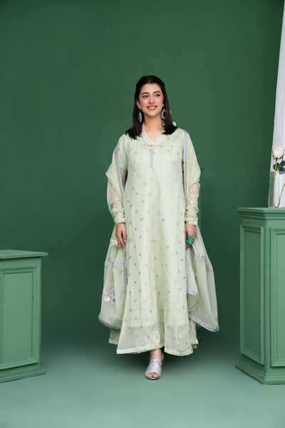 2178 - Sea Green 3 Piece Embroidered Chiffon Suit