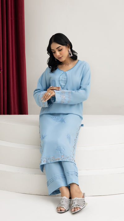 2214-Sky Blue Embroidered 2-Piece Dhanak Suit