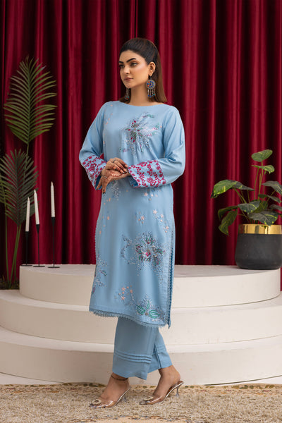 2284-Sky Blue Embroidered 2-Piece Dhanak Suit